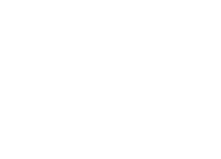 Logo STI (1)